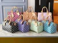 Geanta Louis Vuitton speedy 25