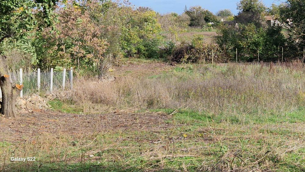 Продавам дворно място в с.Езерец, област Добрич