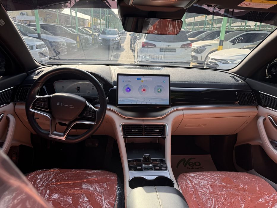 BYD Champion EV 506 km