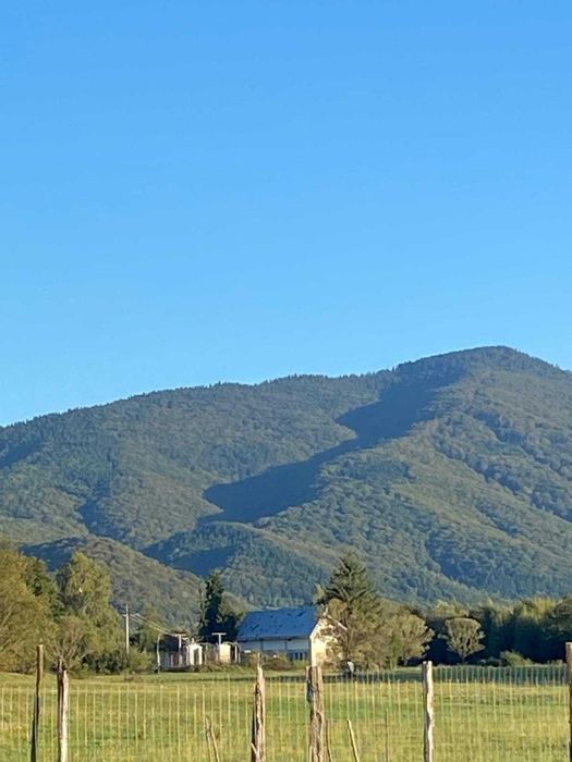 Vanzare Teren Extravilan, Sebes, jud. Brașov