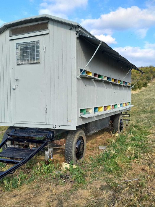 Vand Pavilion apicol