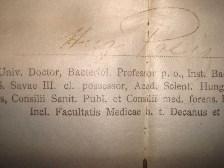 Diploma medicina-farmacie-Universitatea Budapesta- Austro Ungar-1913