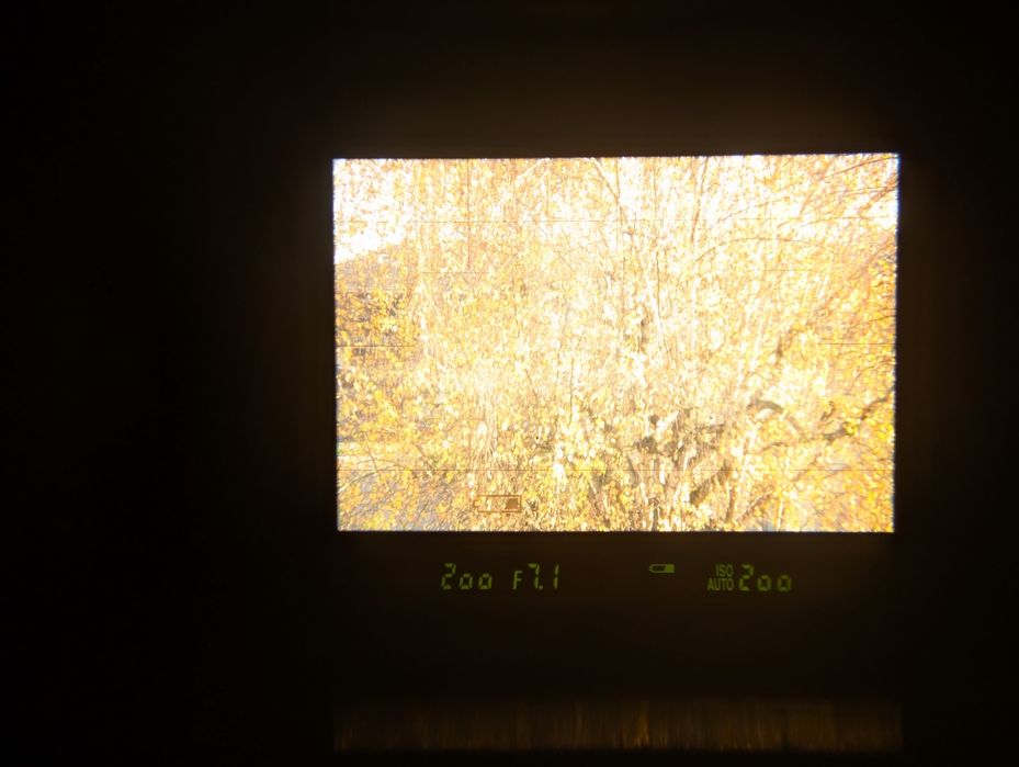 Nikon D5200 + Obiectiv Nikkor AF-S 50 mm f1.4 + 3 baterii + SD 128 GB