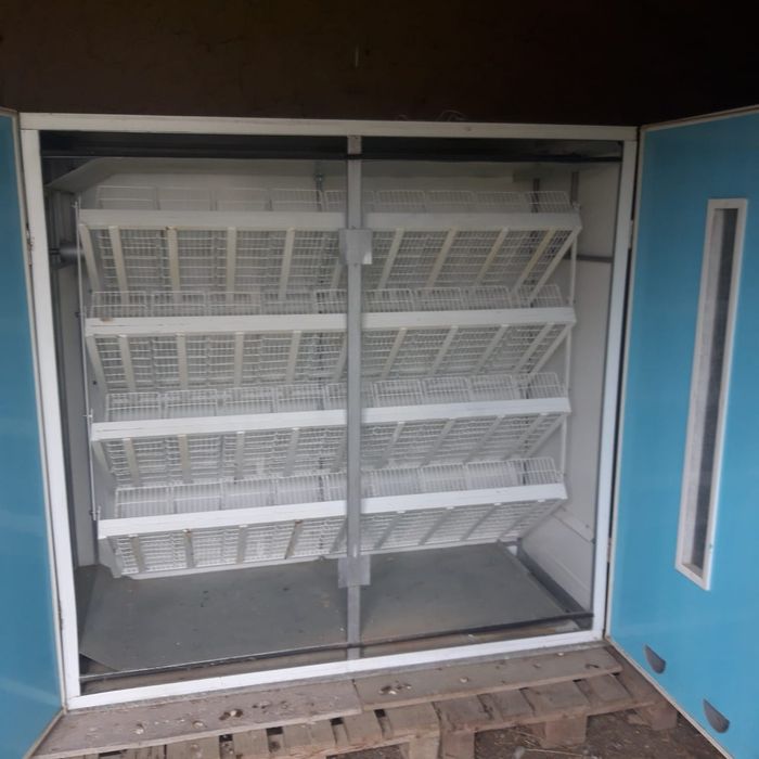 Инкубатор Рэмил-Ц