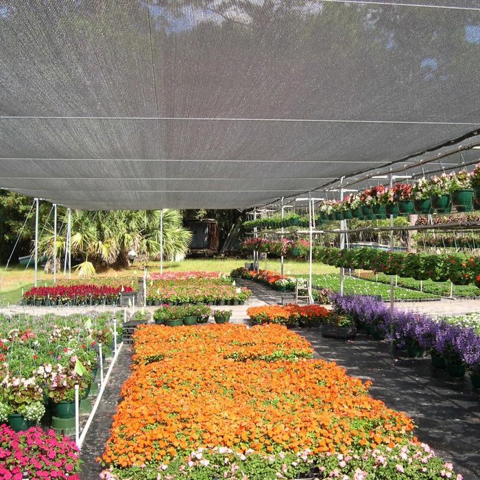 Plasa de Umbrire GeoSol 45% 8m x 30m