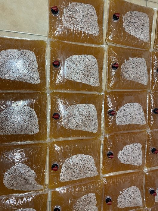 Suc mere punga 5 litri