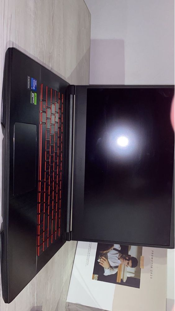 Laptop Gaming MSI Thin GF63 12VF-640XRO,