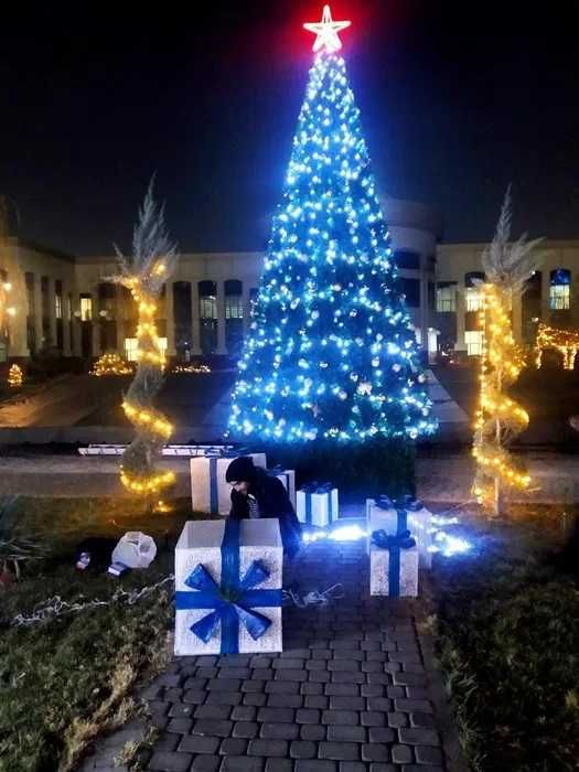 Archa Можжевельник елка арча елки 60,80,120,150,180,210,240sm