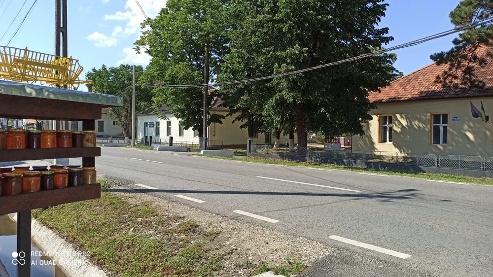 MIERE producție proprie