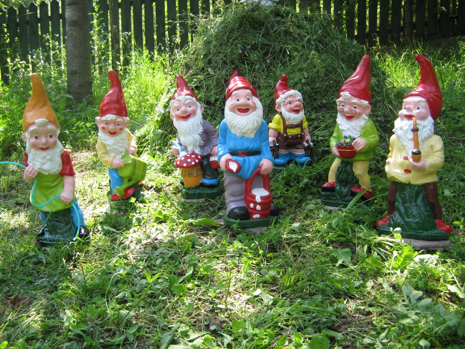 ornament gradina CIUPERCA