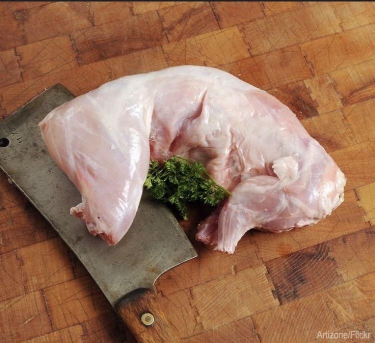 Продавам зайци и заешко месо