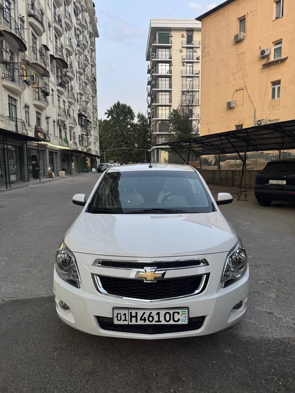 Oq Cobalt LTZ 2024