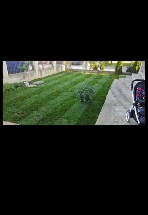 Gazon sau insamantare