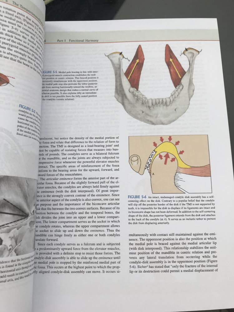 Functional Occlusion from TMJ to Smile Design-Peter E. Dawson