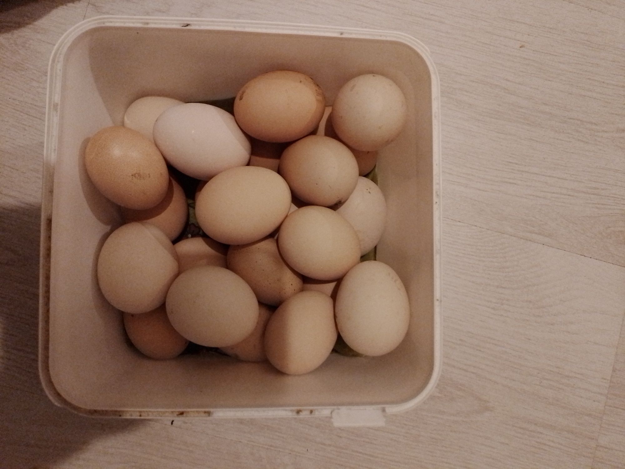 Домашни яйца от свободни кокошки
