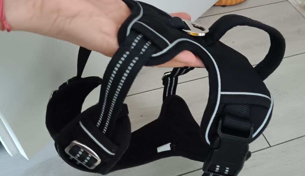 Ham câini talie mare