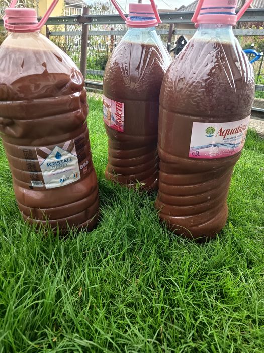 Pastă de măceșe .