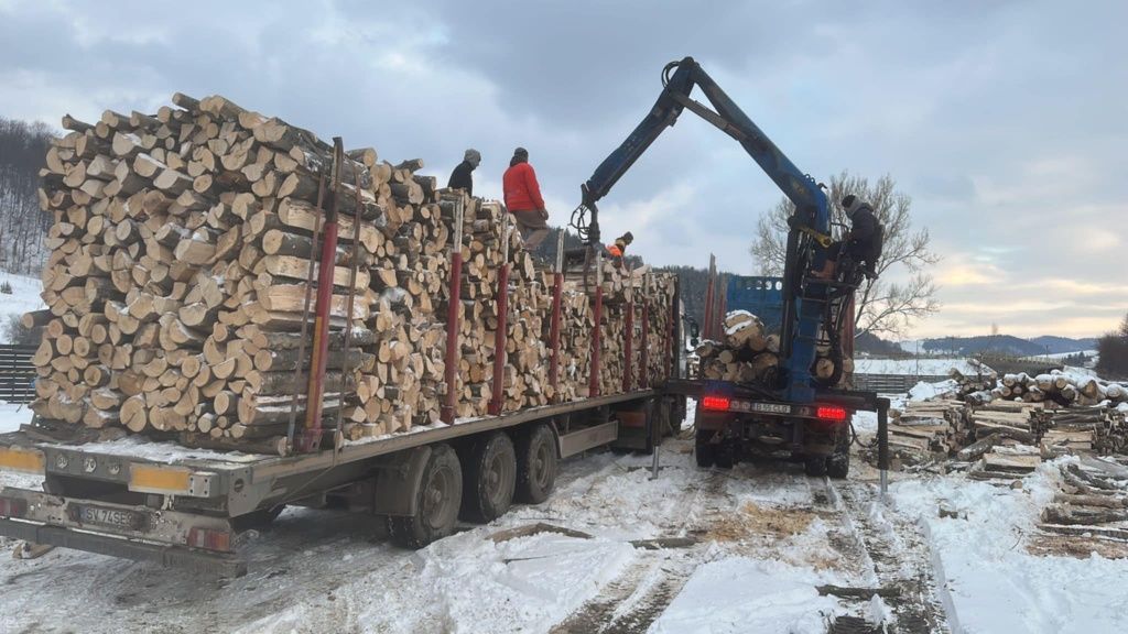 Sc Vinde  Lemn de foc esență tare cantitate mare