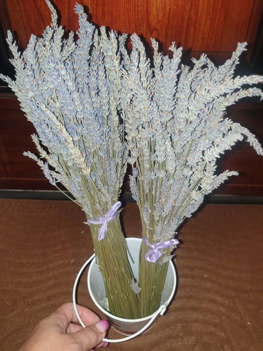 Vând buchete de Lavandă uscată parfumată si decorative