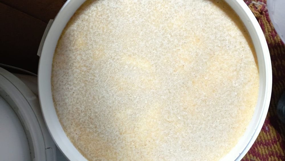 Продам мёд в ведрах