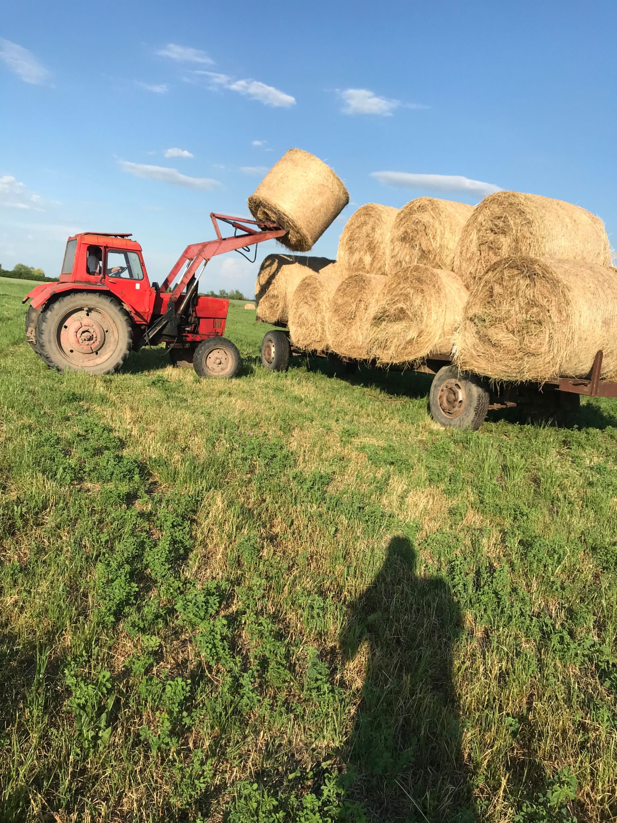 Belarus Mtz 80 cu încărcător frontal!