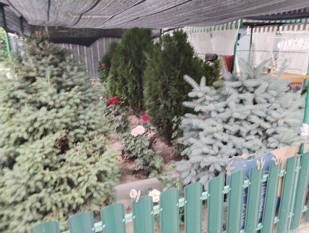 Срочно продается добротный дом!