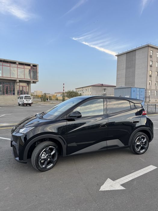 Seagull 2025-yil iyulda olingan . Kraska toza