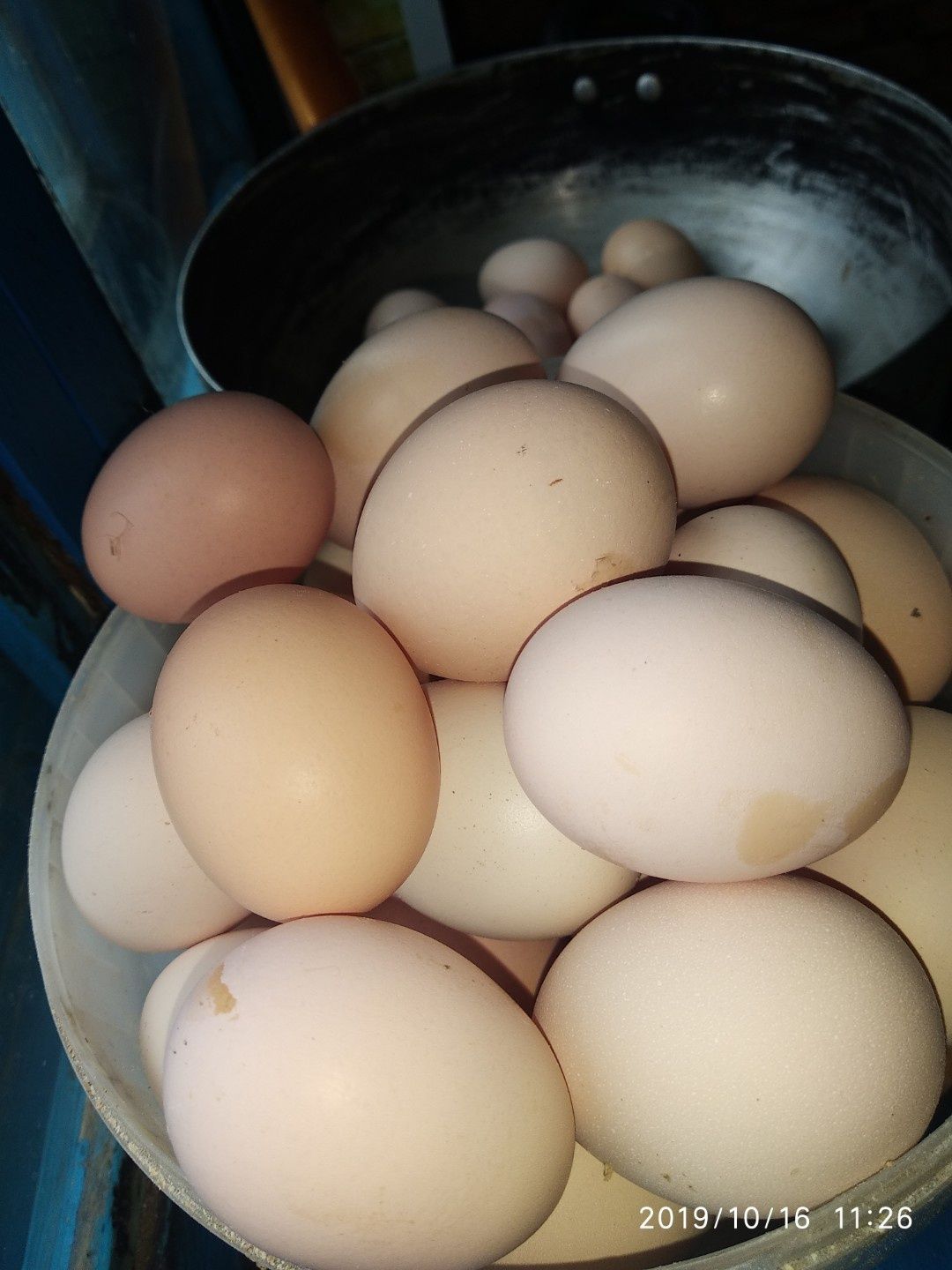 Яйца от домашних кур