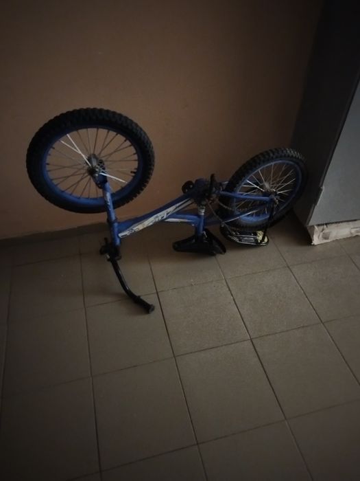 Велик сатамын 12000