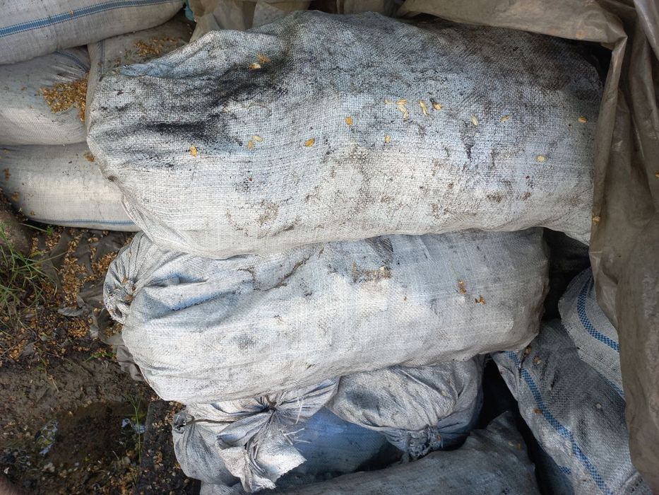 Koʼmir qirgʼiz va shubarkol va angren hamasidan bor dastafka