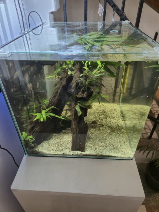 Acvariu Dennerle Nano Scapers Tank 55 l