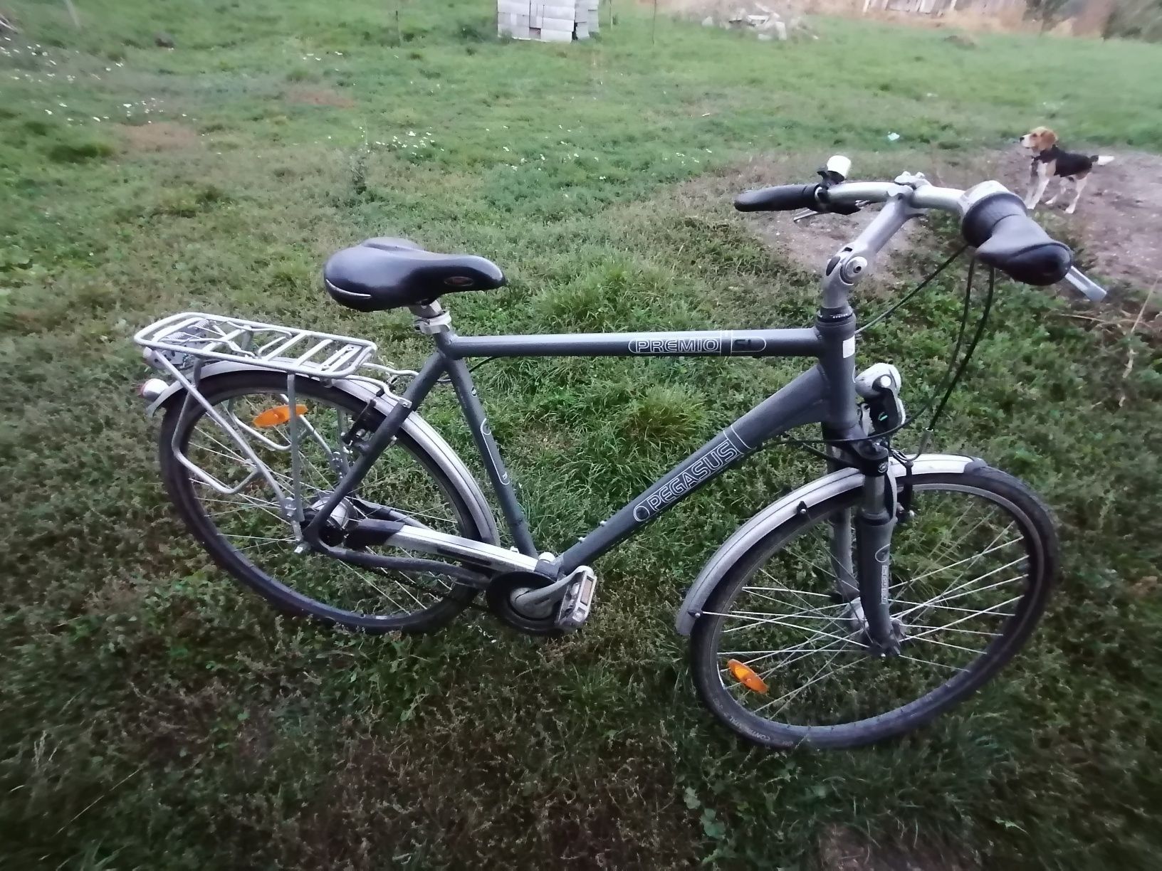 Bicicleta pegasus