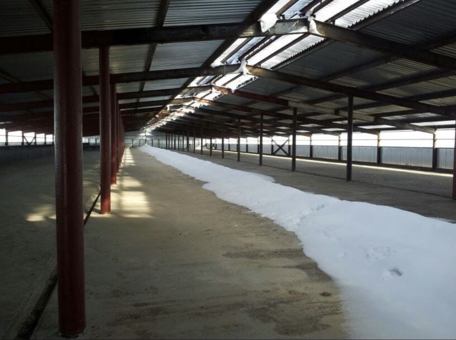 Продажа обьекта 37,2 га, база, ангар, ферма, промбаза