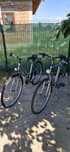 Doua biciclete City