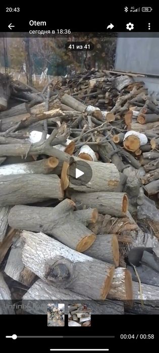 Ŏtin sotiladi zaldori