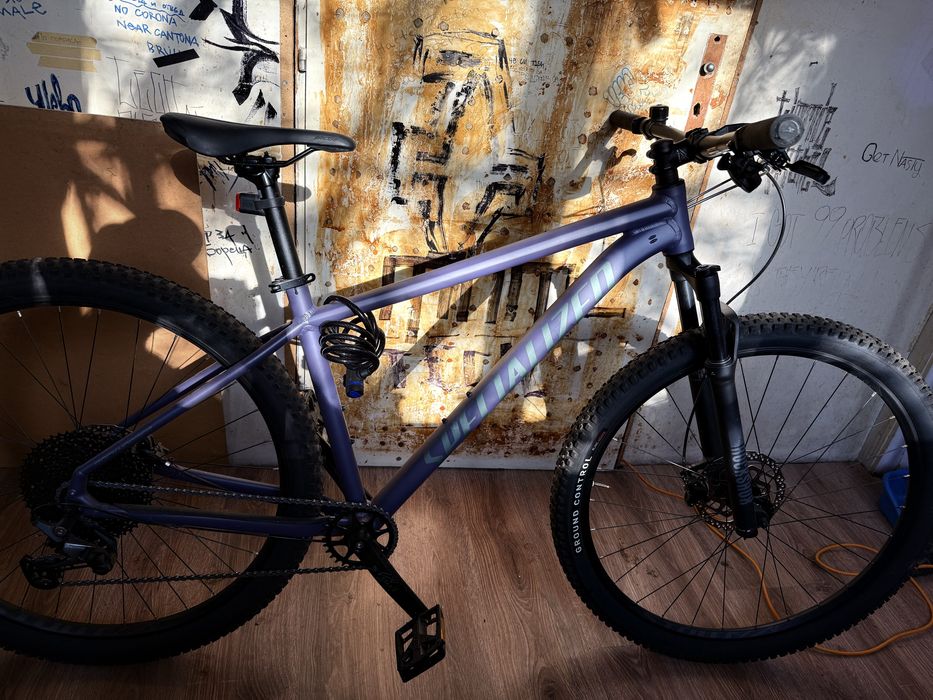 specialized rockhopper comp vn 2026 L 29'  (rockshox Judy]