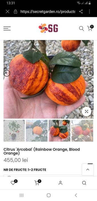 Portocal rosu de Sicilia