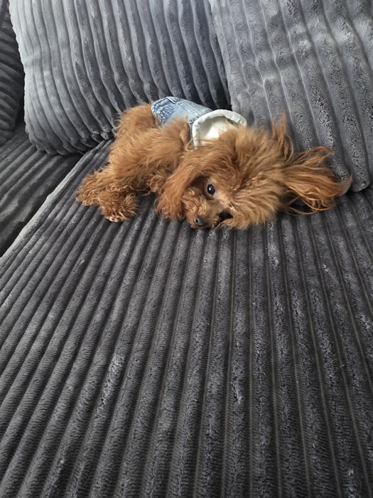 Тийкъп момиче на 1 година