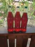 Sirop de muguri si conuri de brad