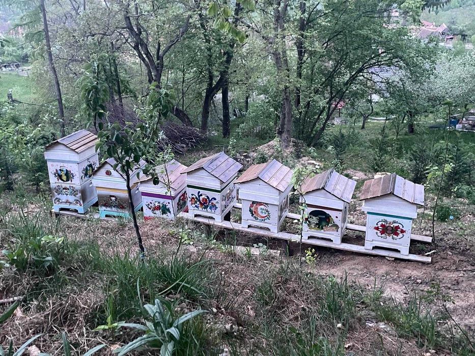 Miere si lapte de capra proaspăt 100% naturale