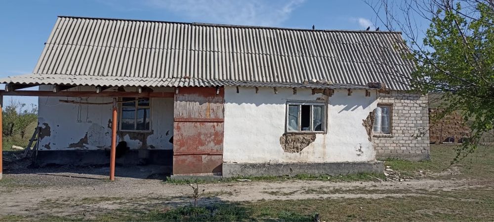 Продается фазенда