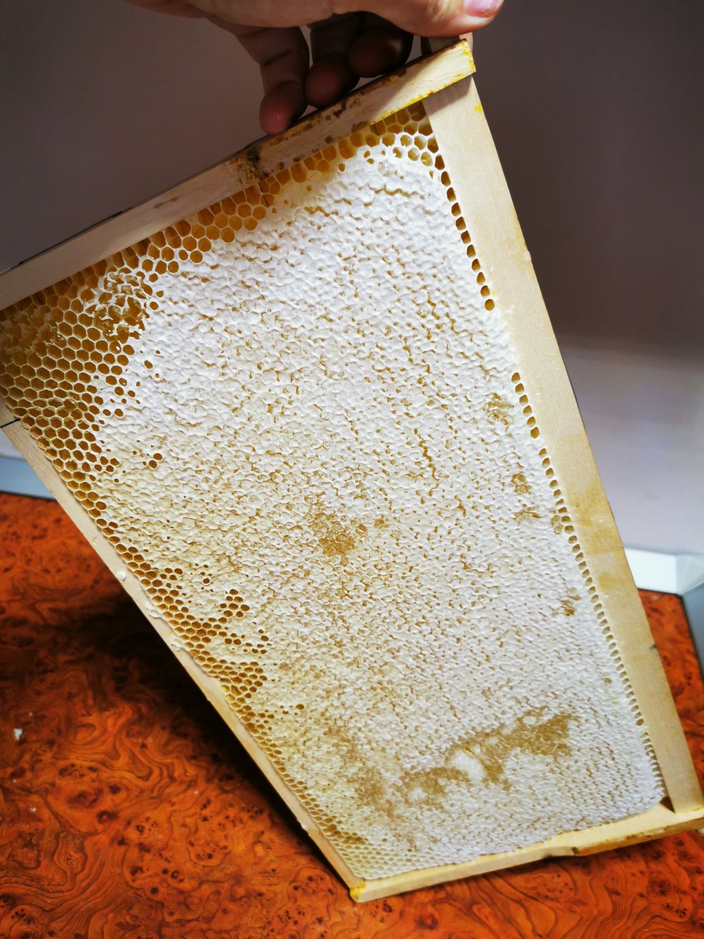Miere rapita salcam si produse apicole