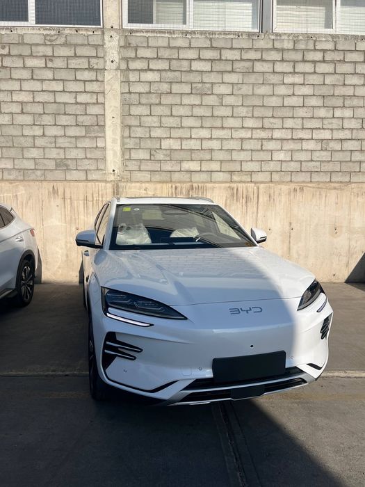 BYD Champion Smart Drive 2025