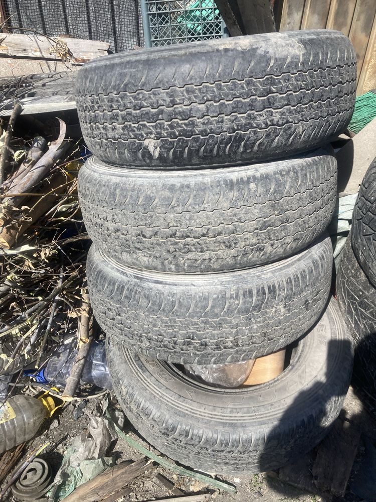 Продам ризину R17