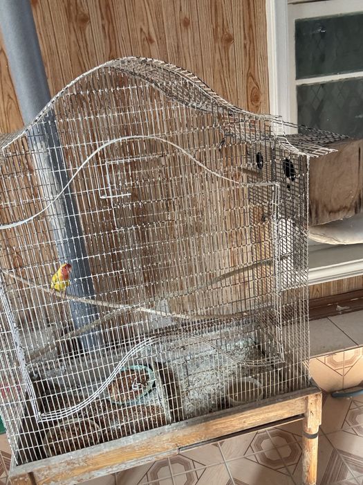 Kletka valer qafas sotiladi holati yxshi o’zim ishlatganman