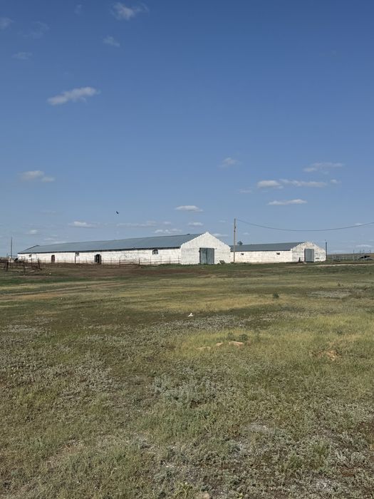 Продаётся растениеводческий-животноводческий комплекс