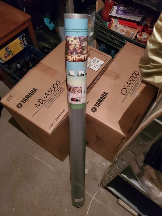 Fototapet camera copil Disney clopotica(Tinker bell) 202 ×73 cm 85 ron
