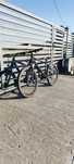 Bicicleta dirt romet rambler r6.2