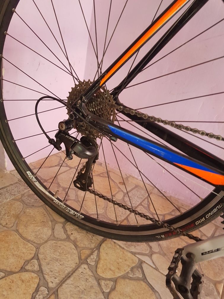 Cursiera Giant 2x11 speed