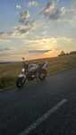 Honda Hornet 600 limitat